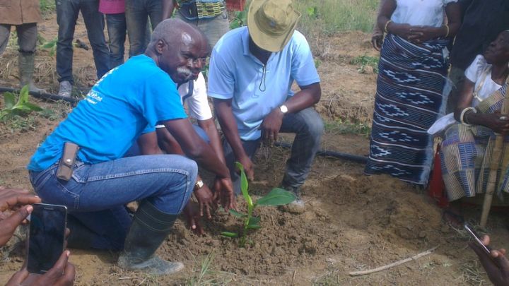 Tiassalé/Développement agricole : Un groupe ivoiro-antillais s’installe